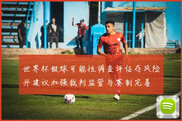 世界杯假球可能性调查评估存风险并建议加强裁判监管与赛制完善